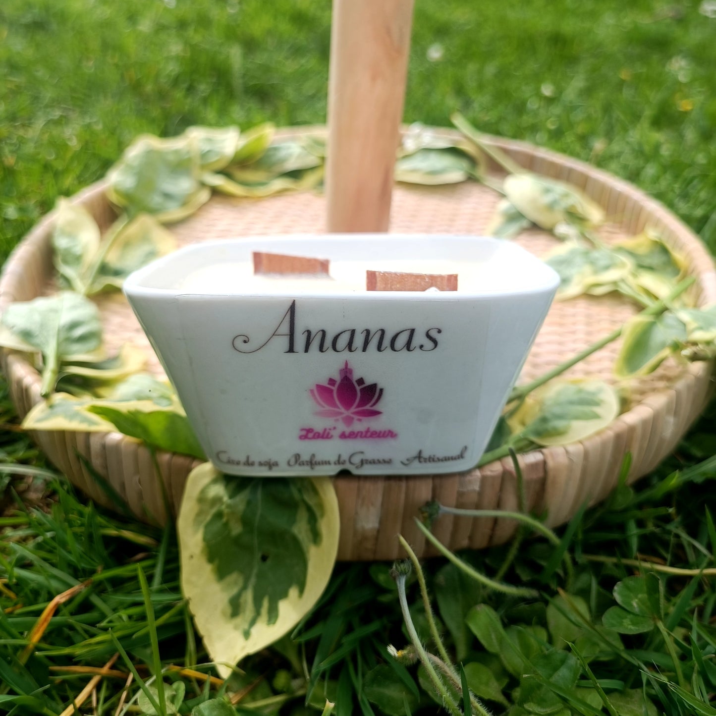 Bougie  Mèche en bois - Ananas